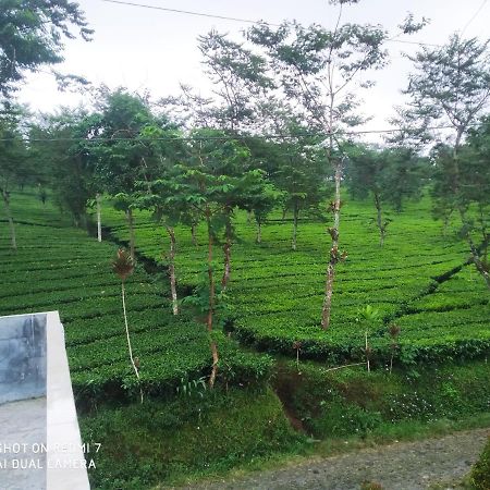 Villa Rr Seroja Kamar Biasa Garung Exteriör bild
